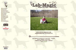 Web site - LabMagic